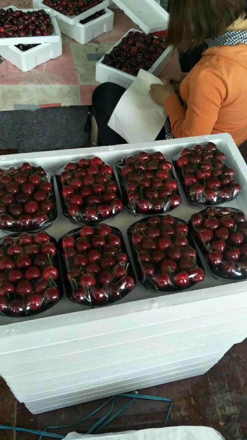 樱桃