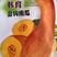 韩育金钩南瓜种子，中熟，单瓜重16斤，亩产8000千克