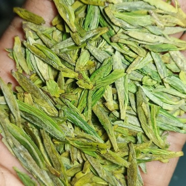 龙井茶