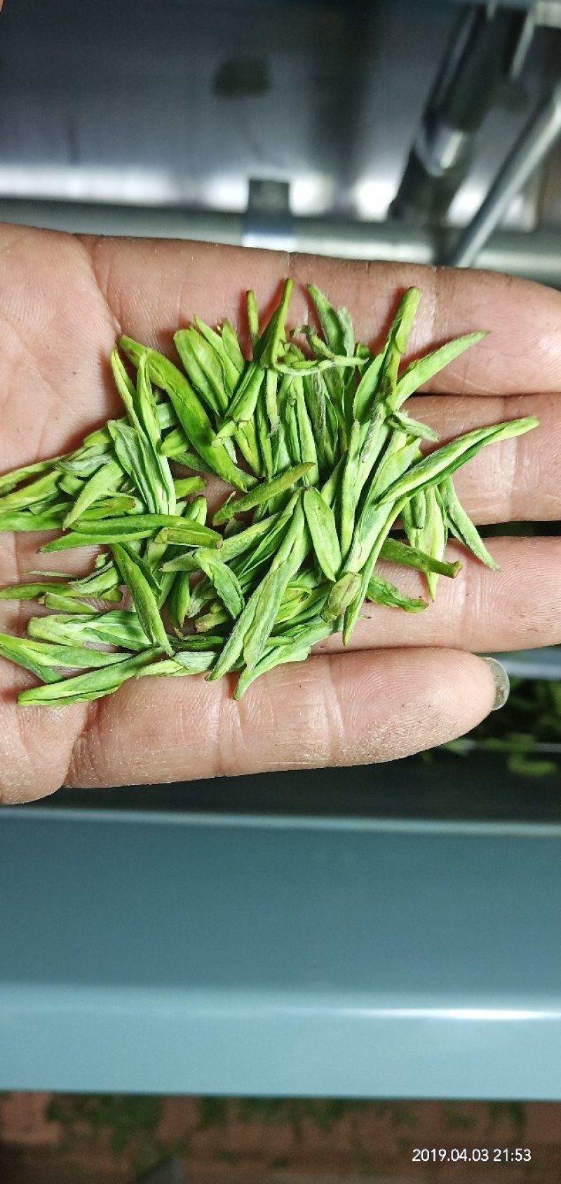 龙井茶