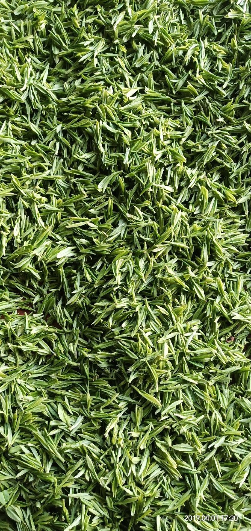 龙井茶