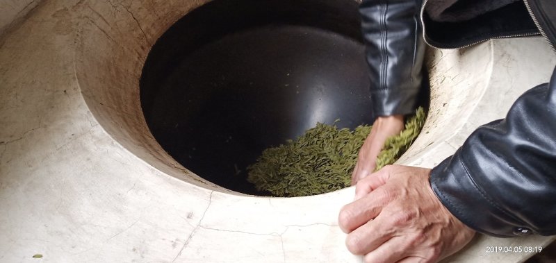 高山雲雾大方生态茶