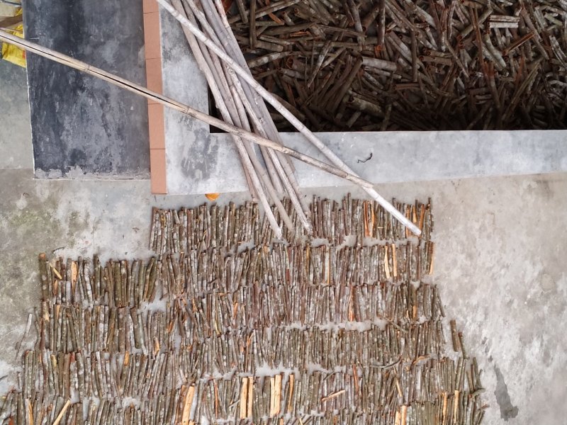 大量肉桂，欢迎咨询采购，谢谢