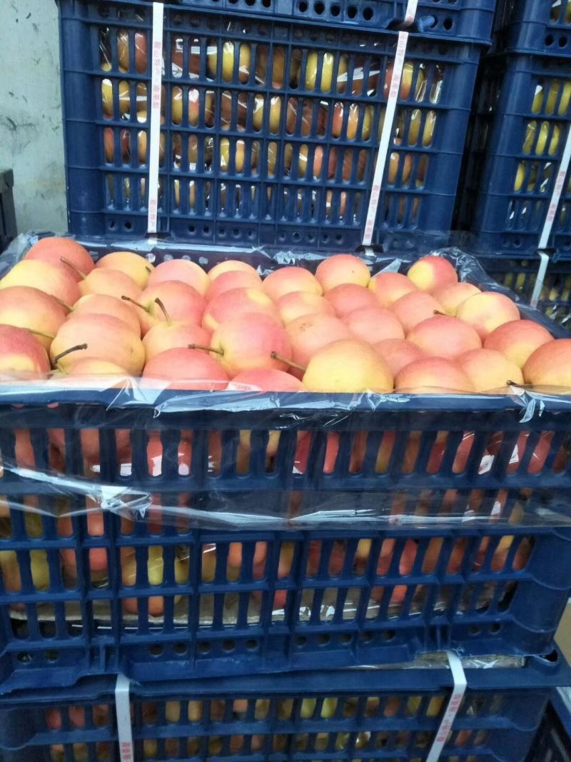 南果梨牛货！！！牛货！牛货！油红嘎靓！！