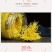 批发:(包邮)17.8元金丝皇菊[1x25g]罐约70朵