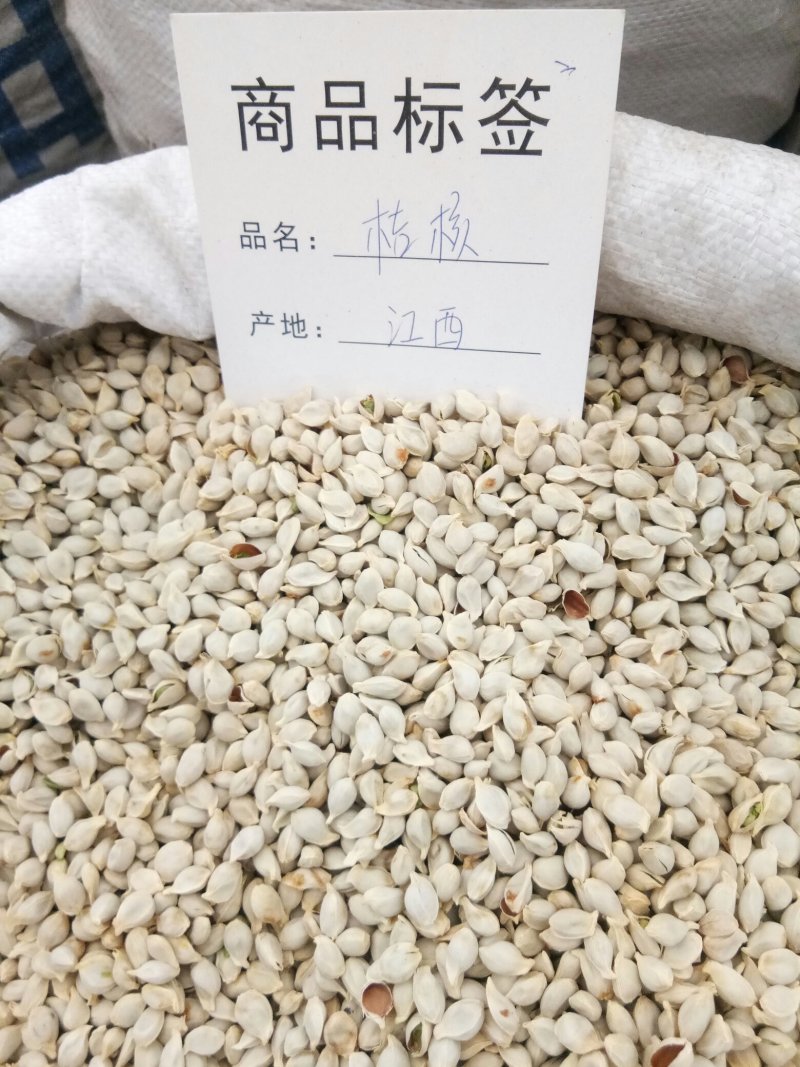 橘核江西净货实物拍摄一公斤起量大从优