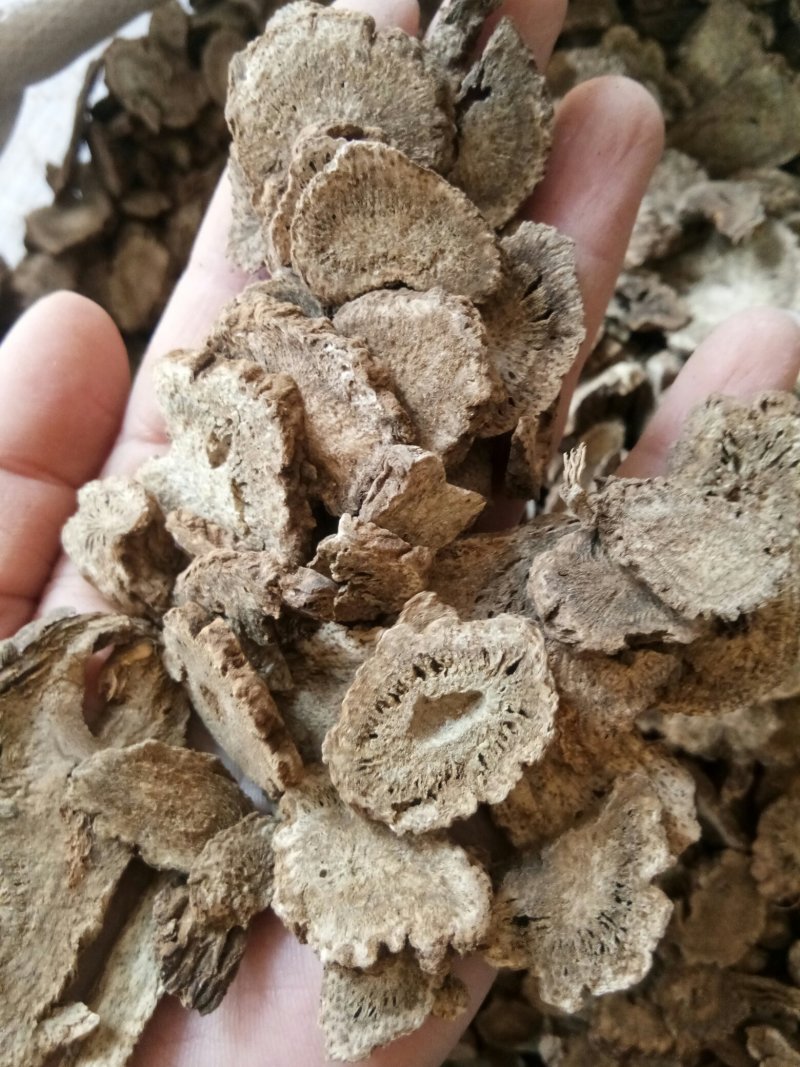 木香中药材木香中草药精选云木香批发零售