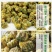 批发24.9元(包邮)胎菊王[1x100克]罐