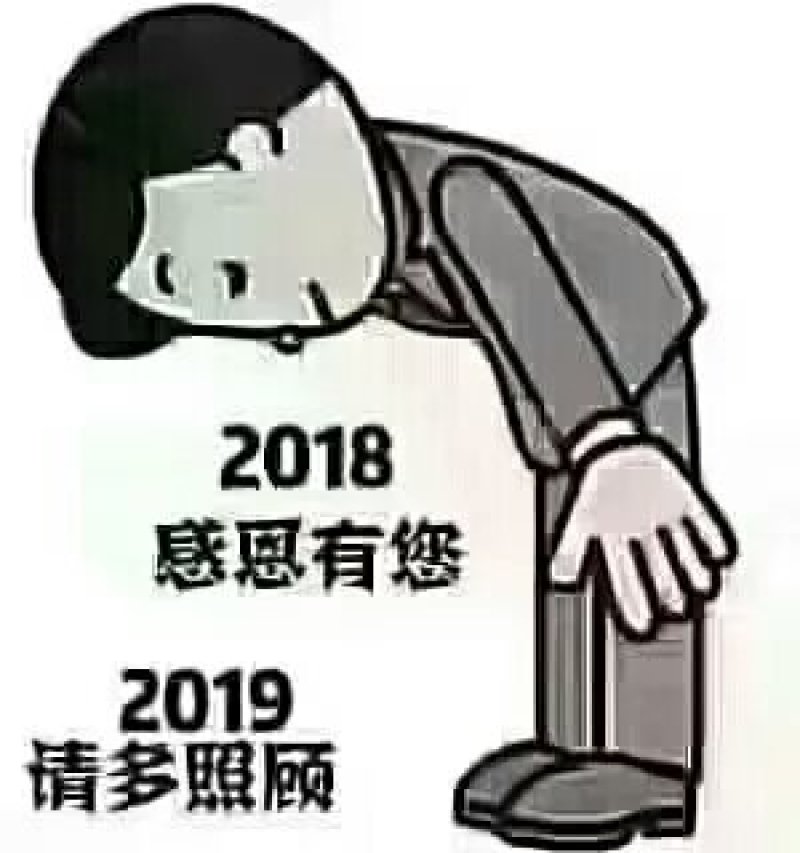 白萝卜精品4排大量有货