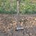 新款硬土型省肥高效施肥施肥器果树液体施肥枪、注水枪