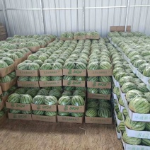 【高糖分8424无籽有籽精品西瓜】头茬可以实地考察