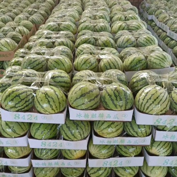 【头茬】新沂美都西瓜甜份高皮薄多汁甘甜可口