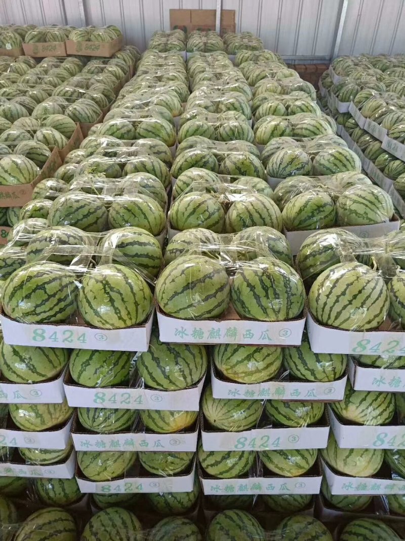 【头茬】新沂美都西瓜甜份高皮薄多汁甘甜可口