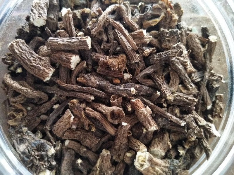 蒲公英根