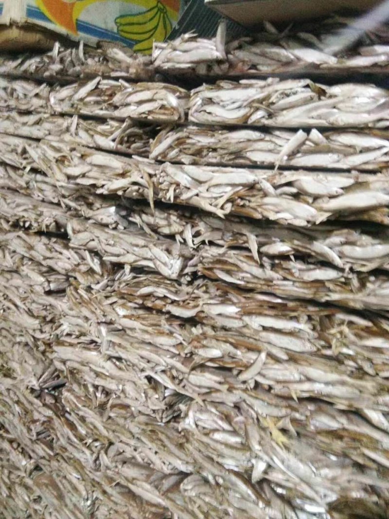 餐条鱼