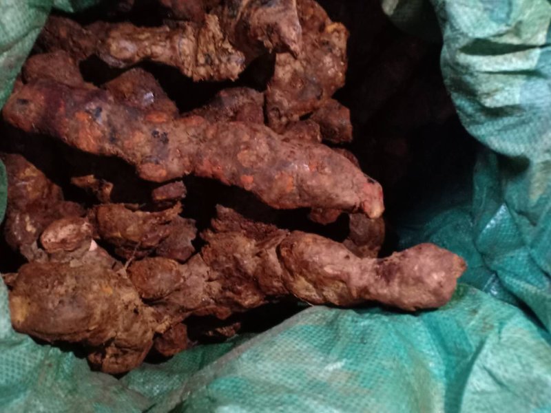 精品云南土茯苓大货，货靓，大，质量好全国发货产地直销一手