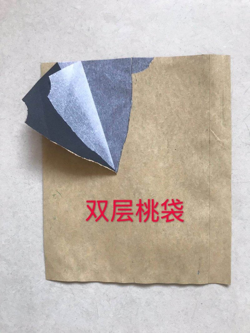 桃袋桃子套袋户外露天专用单双层早熟晚熟桃子套袋