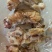 全熟火烧牛蹄，生熟都有，