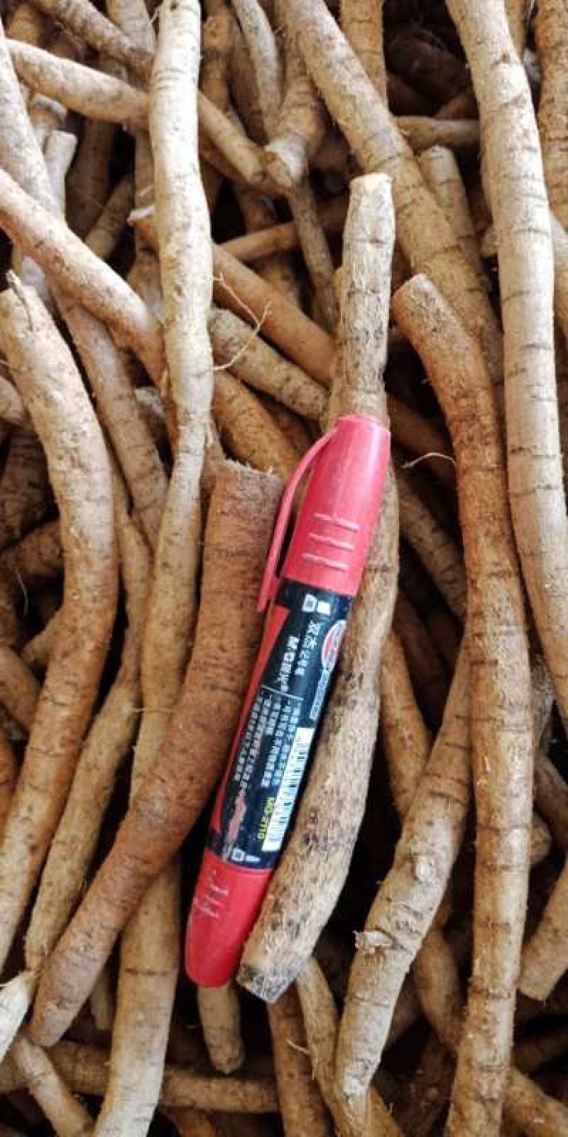 牛大力小小牛小叶味道甘甜质量好
