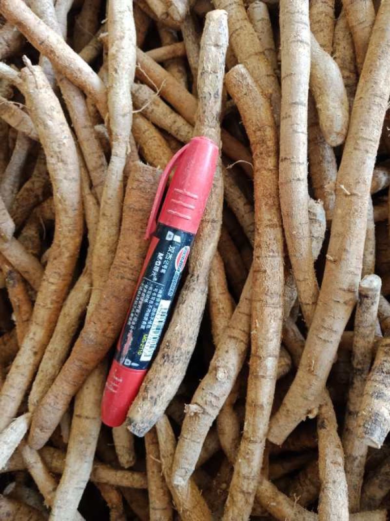 牛大力小小牛小叶味道甘甜质量好