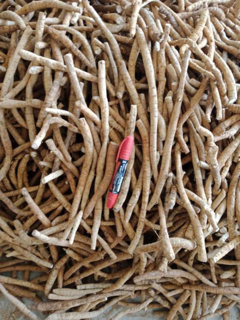 牛大力小小牛小叶味道甘甜质量好