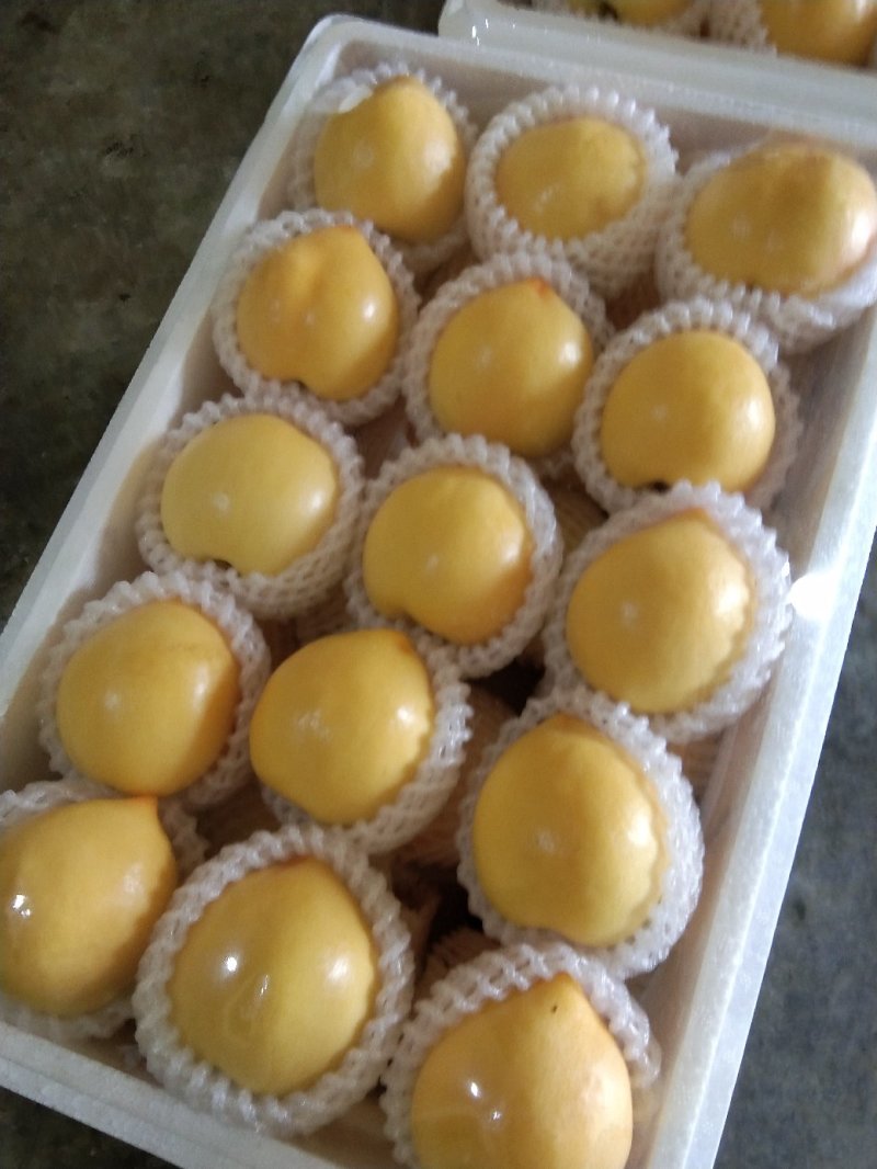 油桃