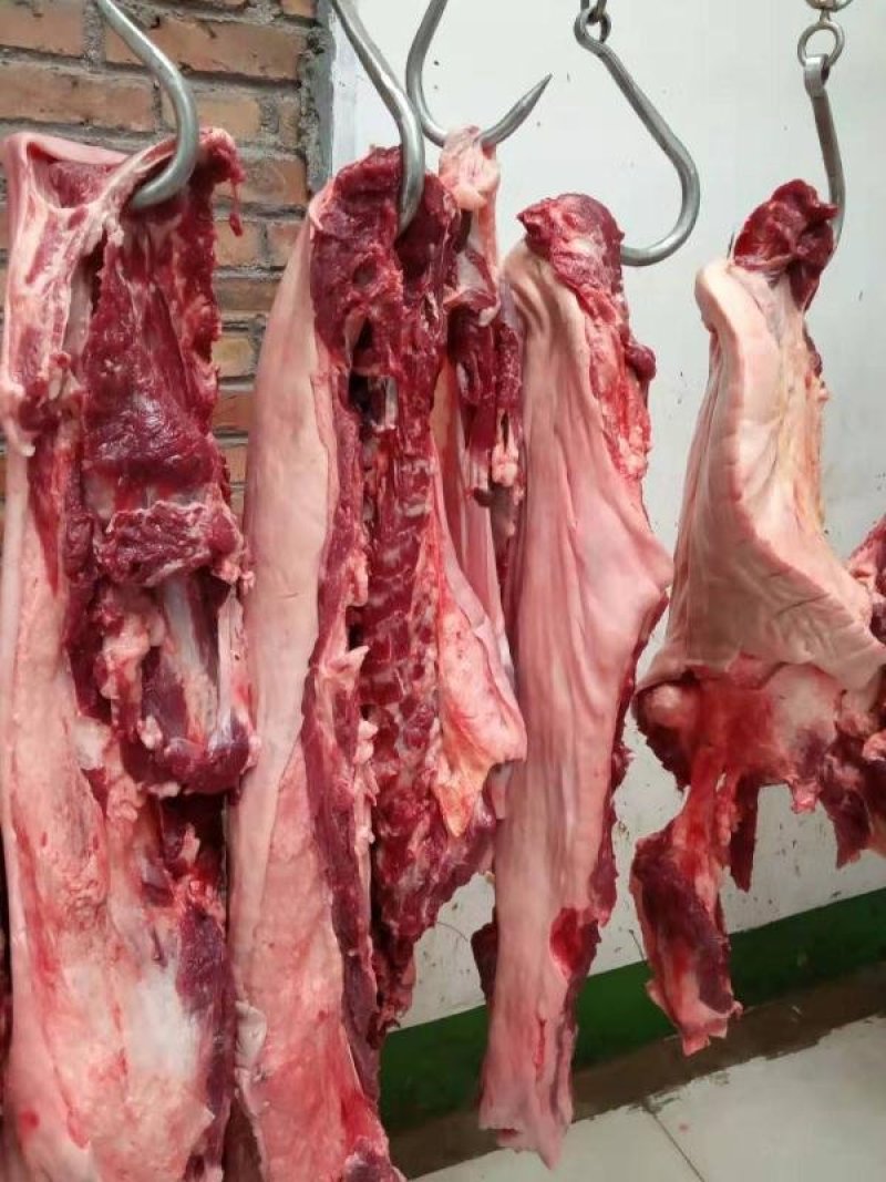 养殖场现杀新鲜驴肉带皮驴肉