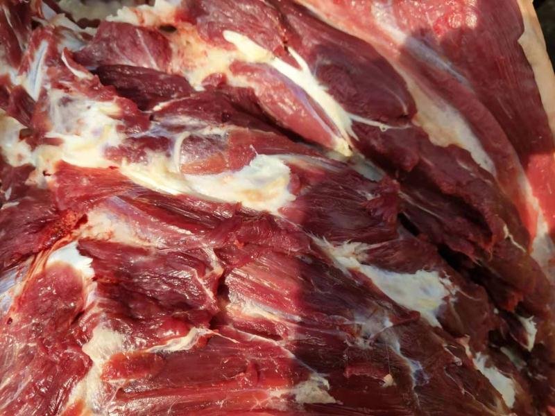 养殖场现杀新鲜驴肉带皮驴肉