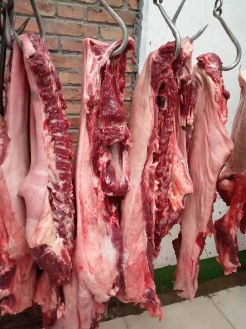 养殖场现杀新鲜驴肉带皮驴肉