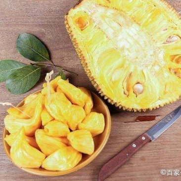 海南菠萝蜜