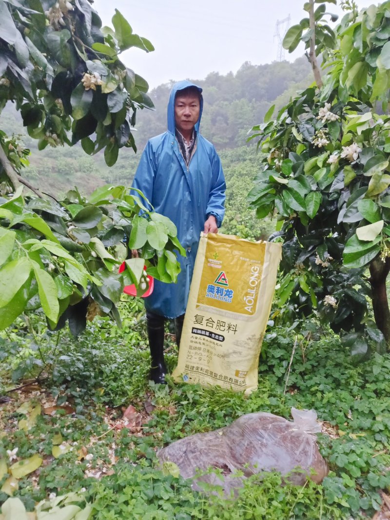 梅州大埔青溪蜜柚产地直发诚信经营新历9月份左右