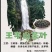 王平山茶业