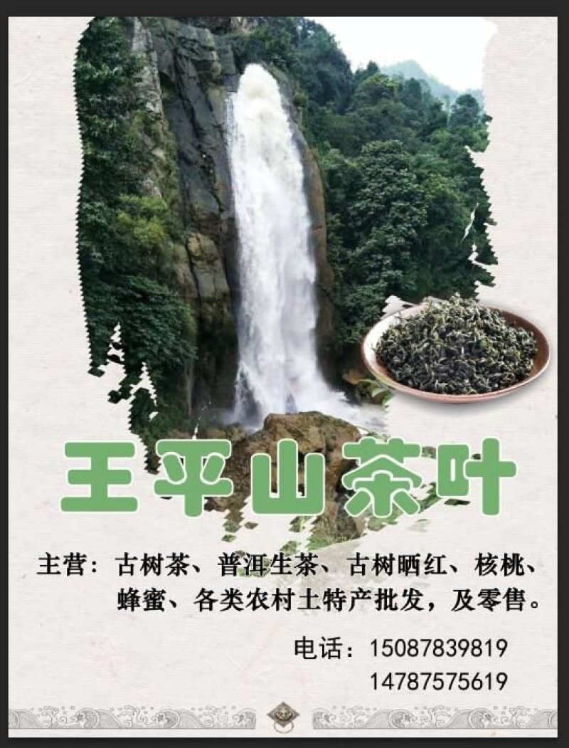 王平山茶业