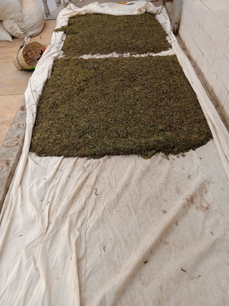 王平山茶业