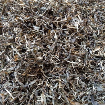 王平山茶业