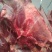 养殖场直供现杀新鲜马肉带皮马肉