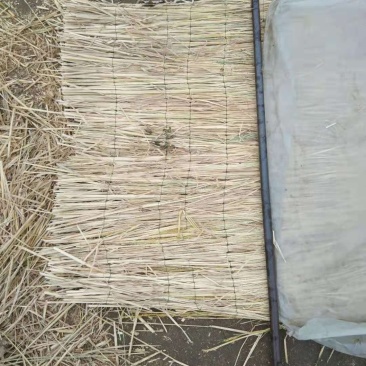 厂家直供公里养护草帘