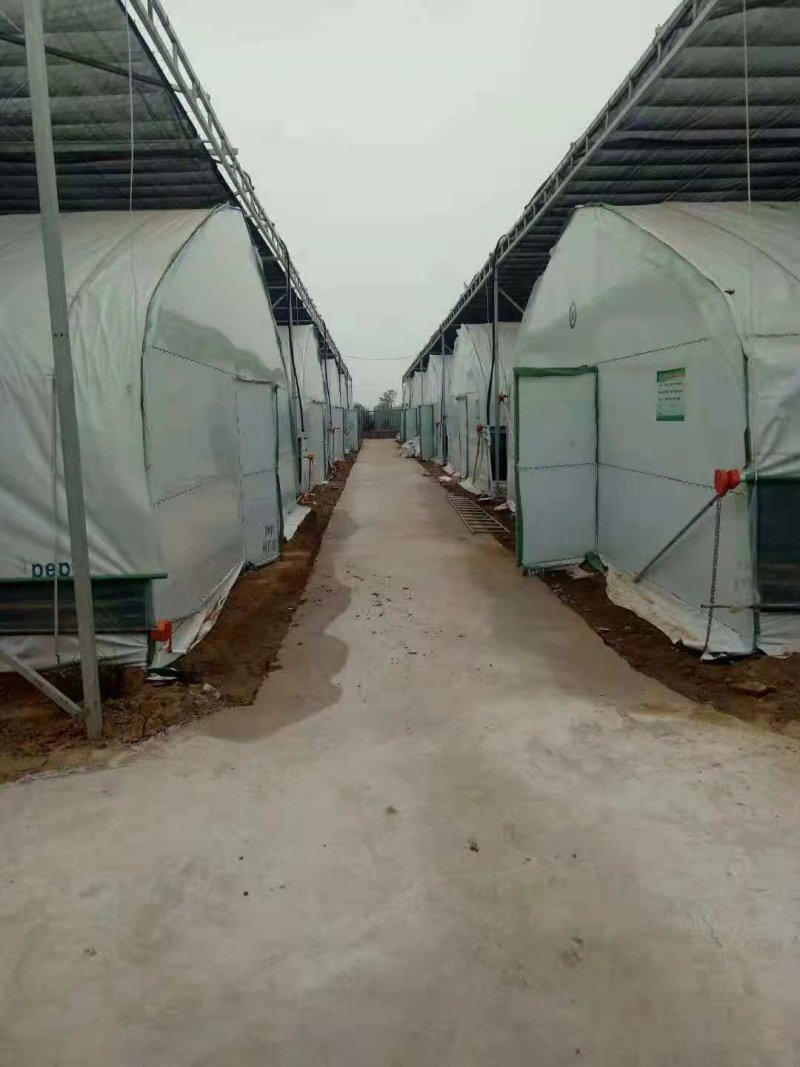 蔬菜大棚厂家温室大棚骨架养殖，种植大棚价格