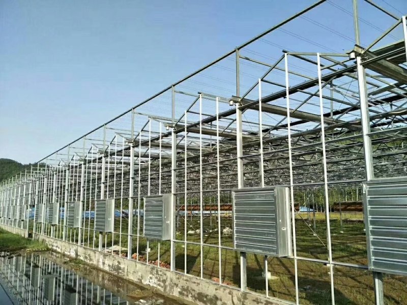 蔬菜大棚厂家温室大棚骨架养殖，种植大棚价格