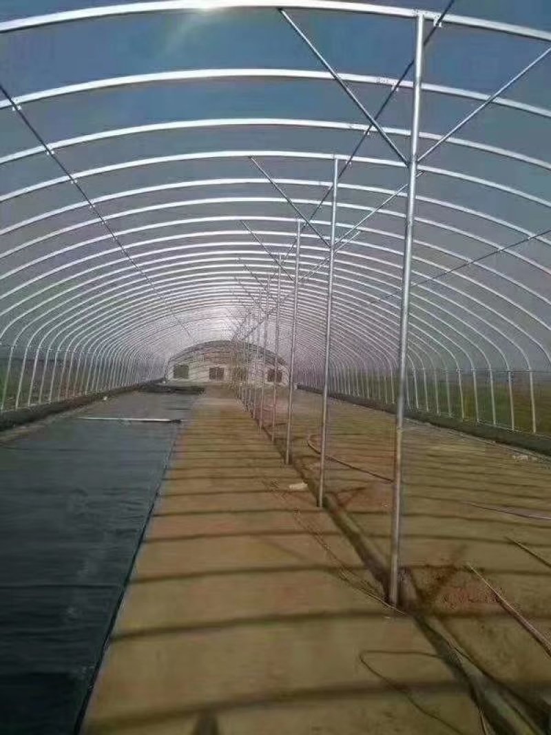 贵州连栋大棚～建设安装~与设计
