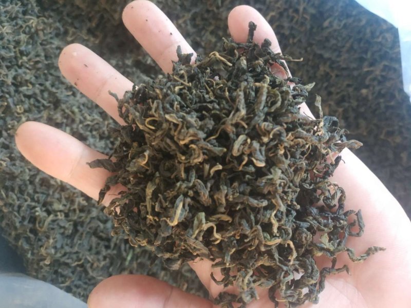 青钱柳茶，真正嫩叶炒。真实图片，假一赔百。