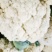 【松花菜】湖北精品松花菜产地直供一手货源欢迎采购