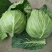 【精品】净菜甘蓝，可散装，袋装，也可根据客户需求提供包装