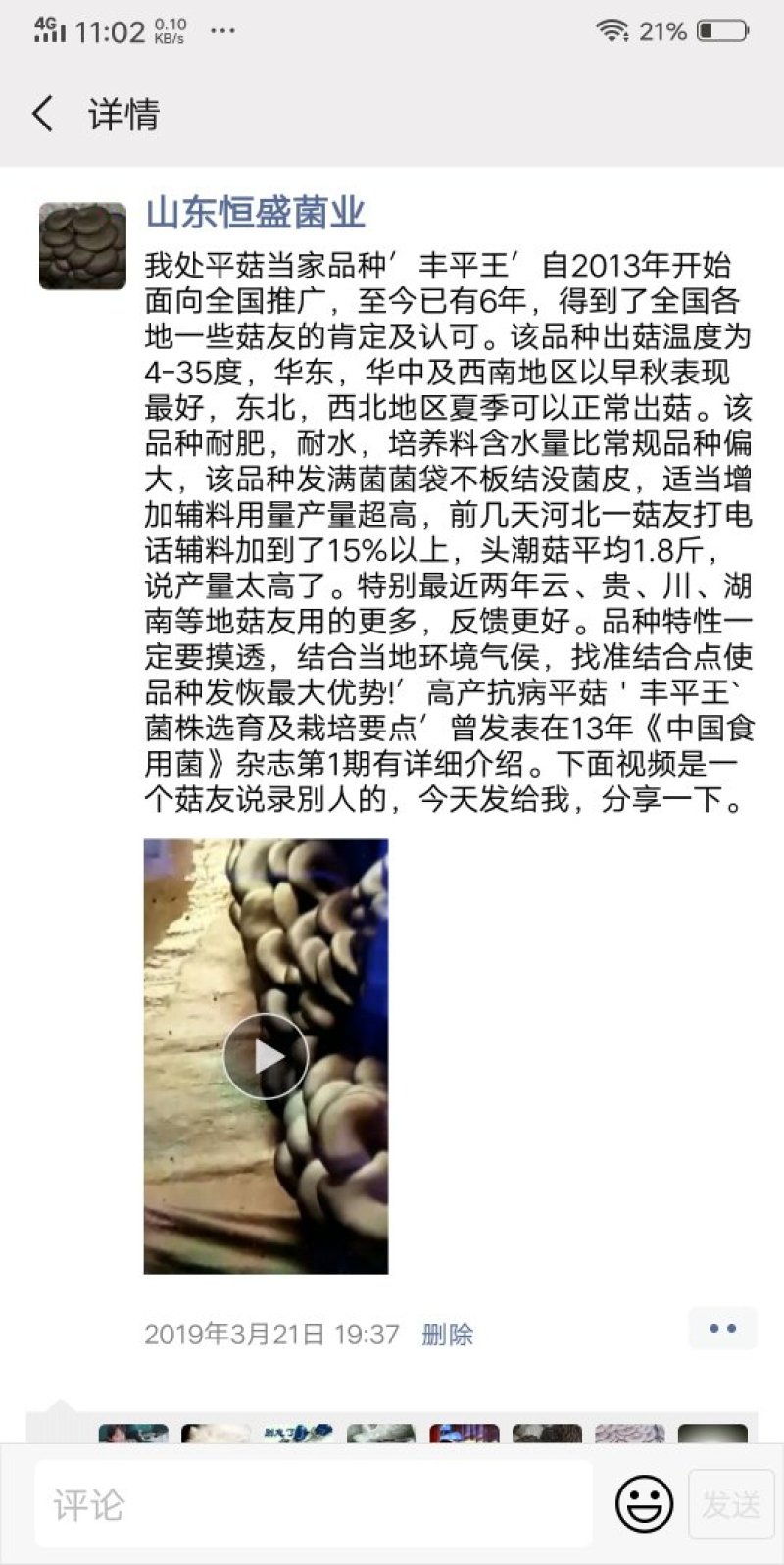 高温审定品种，‘高温皖平’及高温灰色‘伏99’母种，原种
