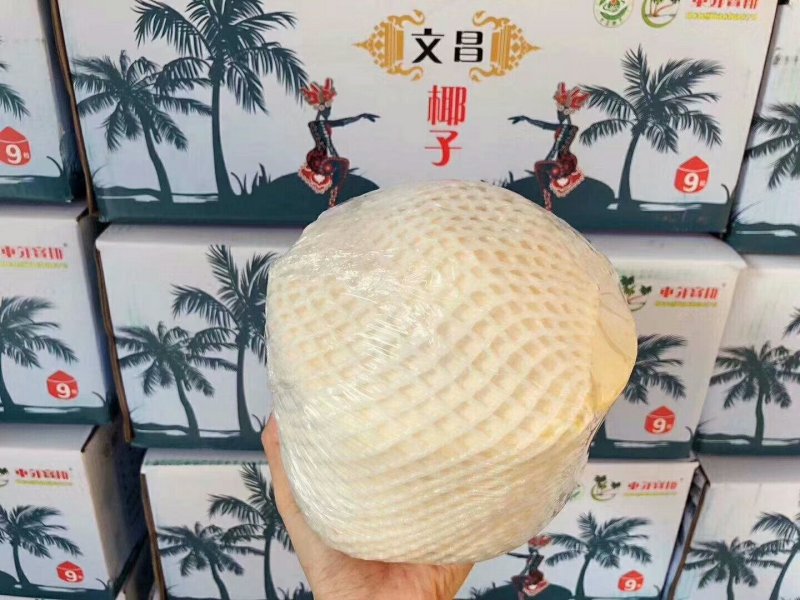 正宗海南文昌椰子