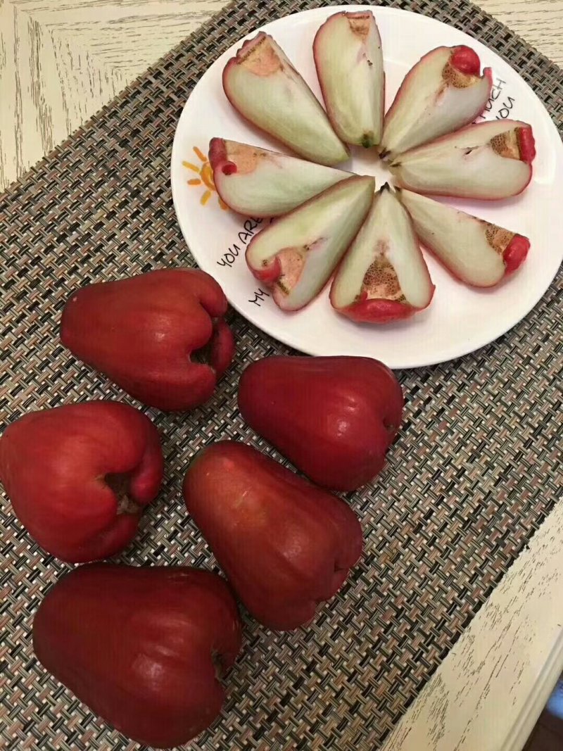 海南正宗黑金刚莲雾
