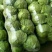 甘蓝