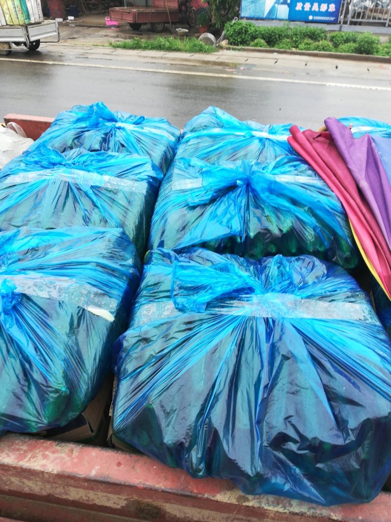 密刺黄瓜22~25公分干花带刺
