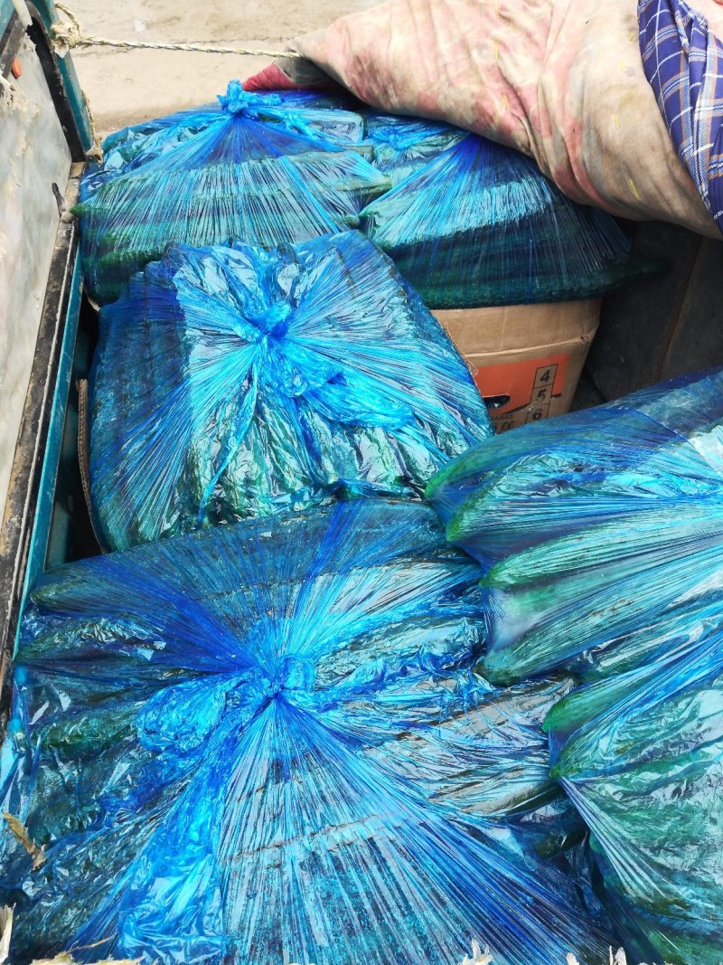 密刺黄瓜22~25公分干花带刺