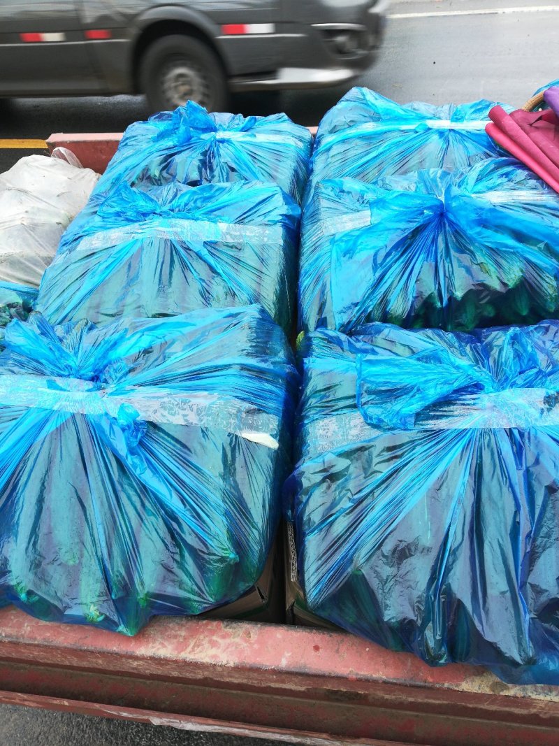 密刺黄瓜22~25公分干花带刺